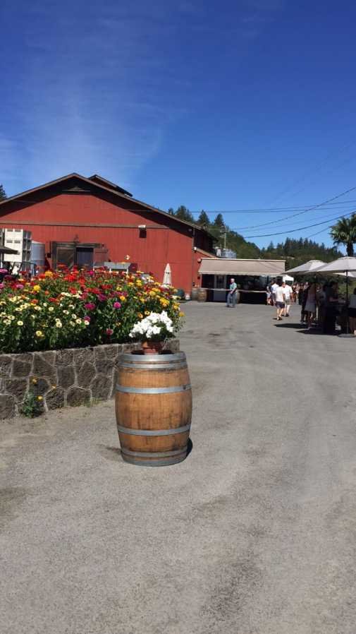 The Iron Horse Winery OnTheQT