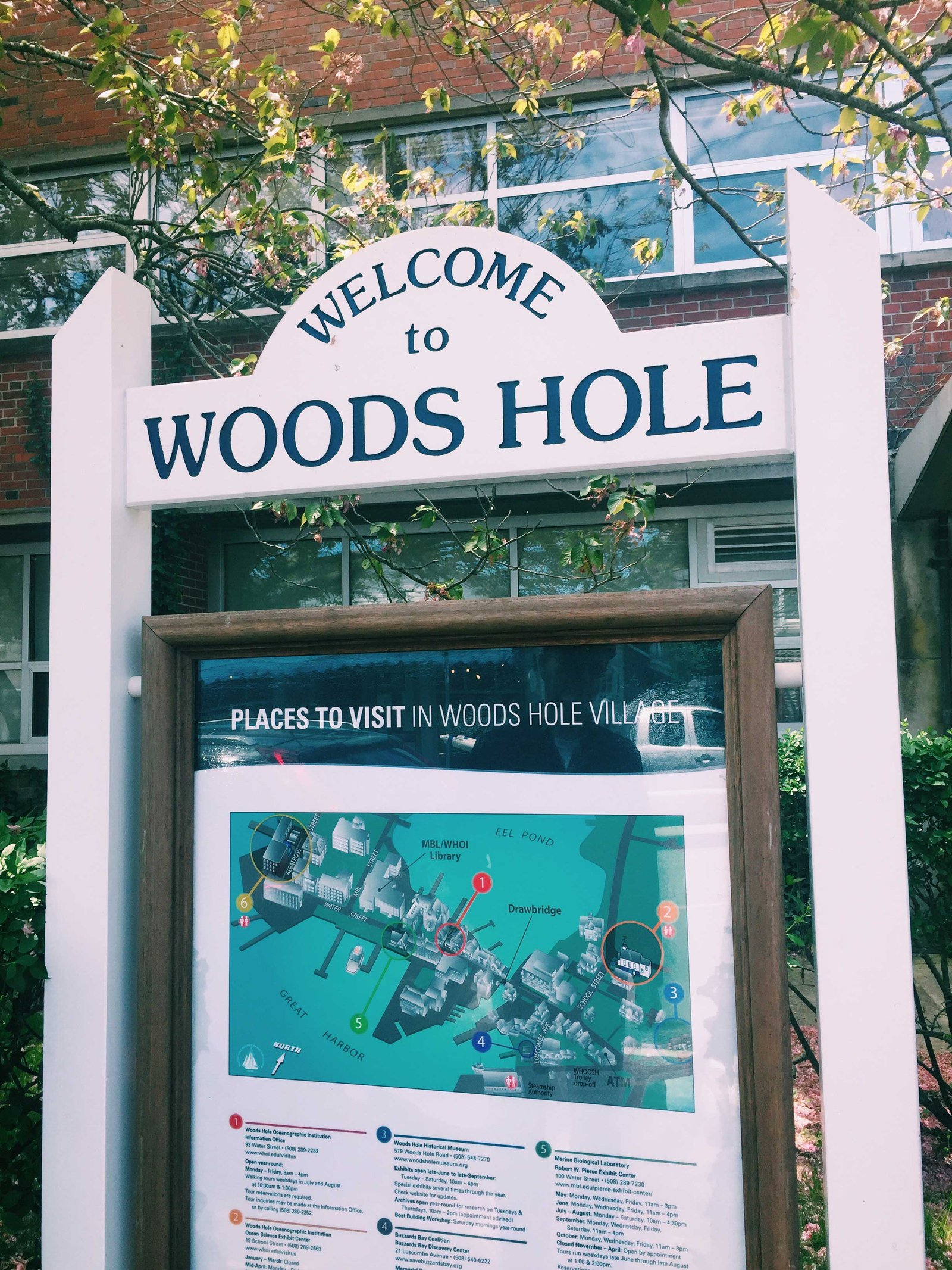 Woods Hole and Pie in the Sky OnTheQT